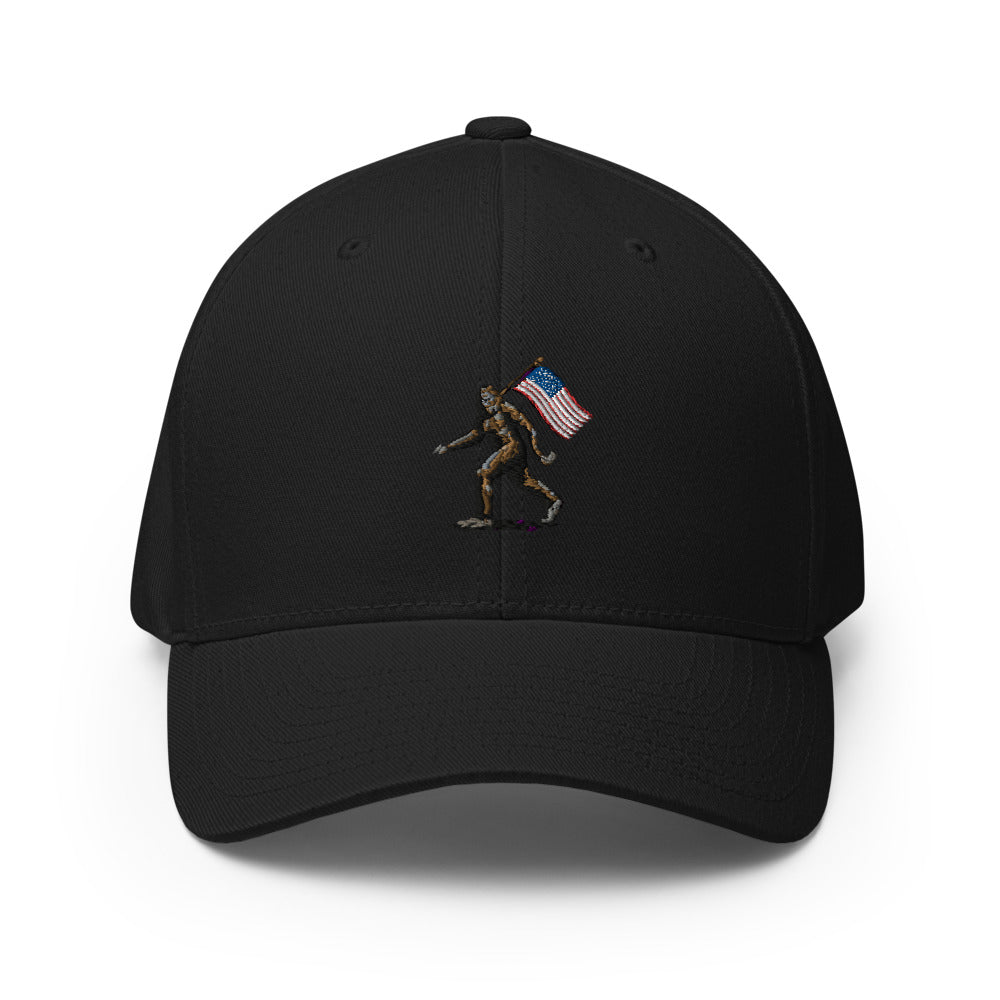 Structured Twill Cap